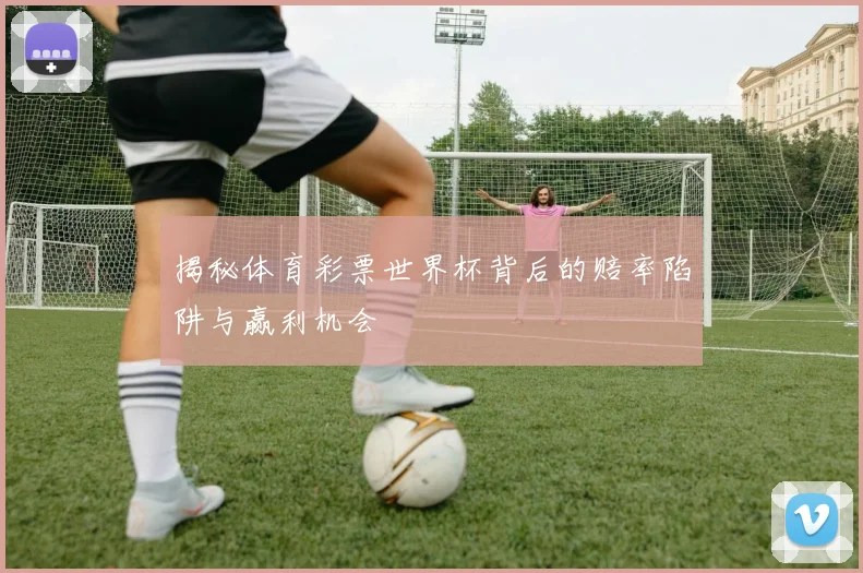 揭秘体育彩票世界杯背后的赔率陷阱与赢利机会