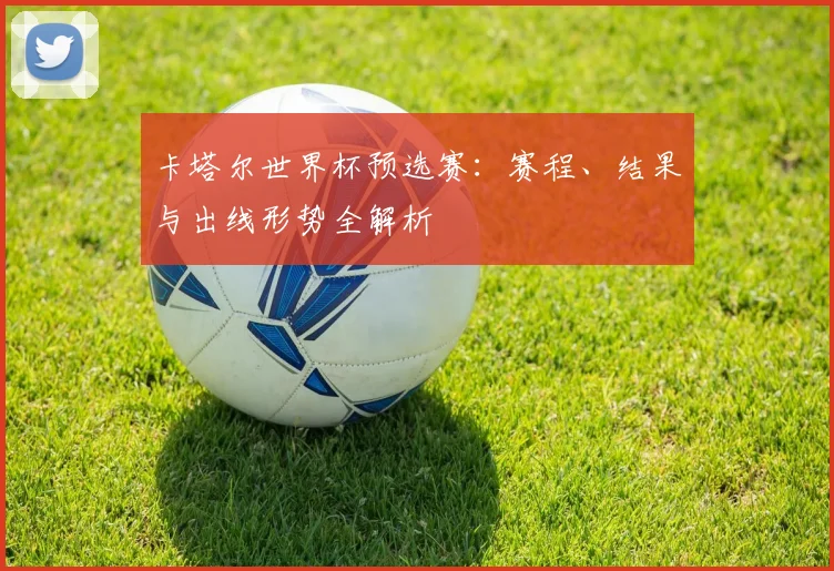 卡塔尔世界杯预选赛:赛程、结果与出线形势全解析