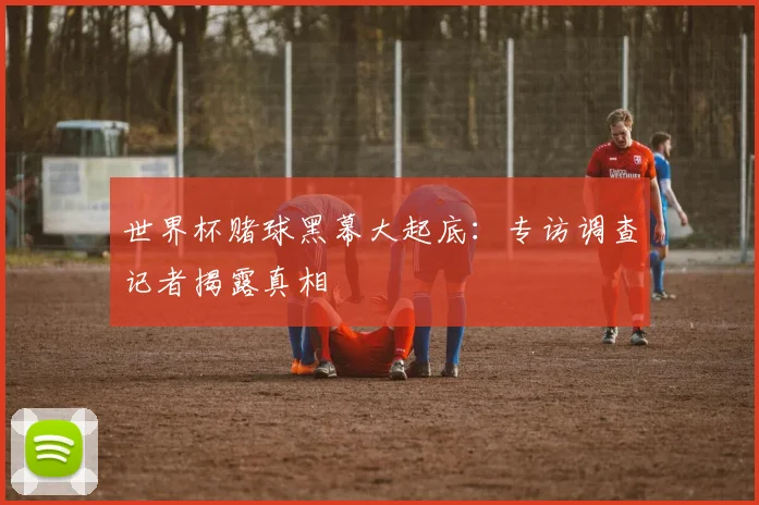世界杯赌球黑幕大起底：专访调查记者揭露真相