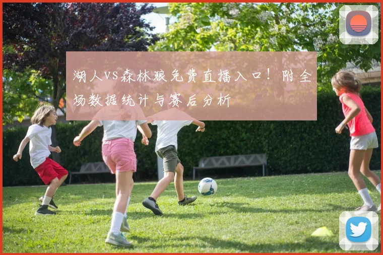 湖人vs森林狼免费直播入口！附全场数据统计与赛后分析