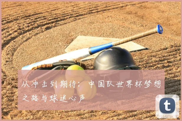 从冲击到期待：中国队世界杯梦想之路与球迷心声