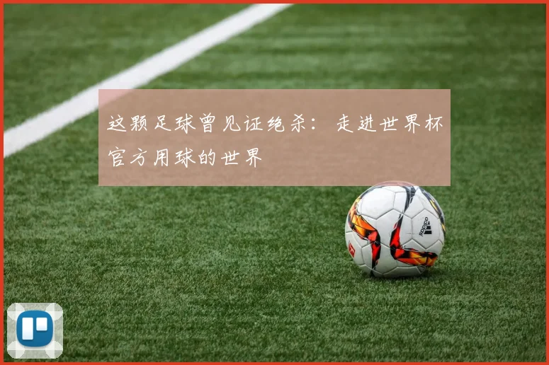 这颗足球曾见证绝杀：走进世界杯官方用球的世界