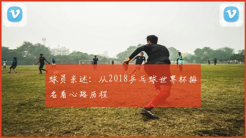 球员亲述：从2018乒乓球世界杯排名看心路历程