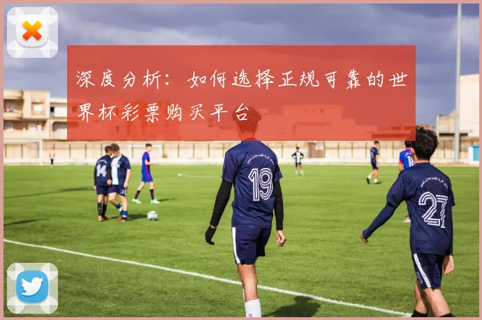 深度分析：如何选择正规可靠的世界杯彩票购买平台