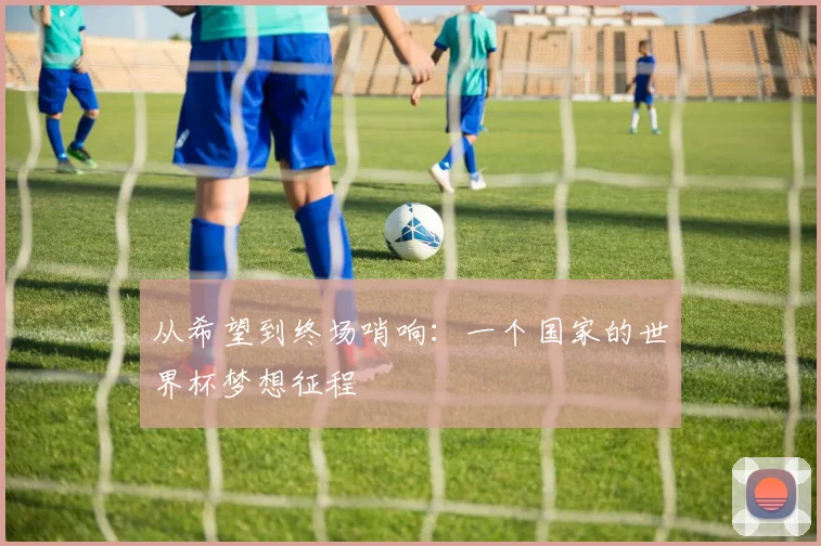 从希望到终场哨响：一个国家的世界杯梦想征程