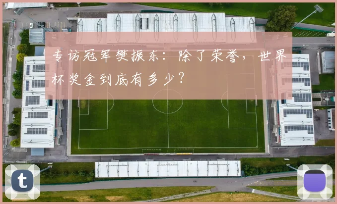 专访冠军樊振东：除了荣誉，世界杯奖金到底有多少？