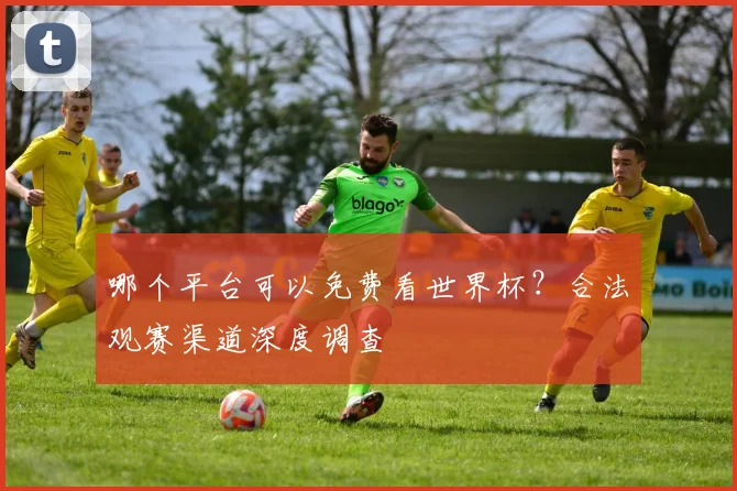 哪个平台可以免费看世界杯？合法观赛渠道深度调查
